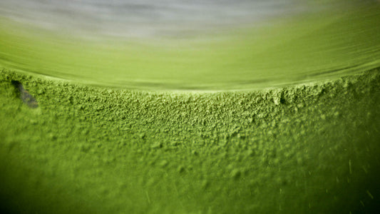The rich, velvety texture of premium ceremonial matcha powder during the traditional stone-grinding process.