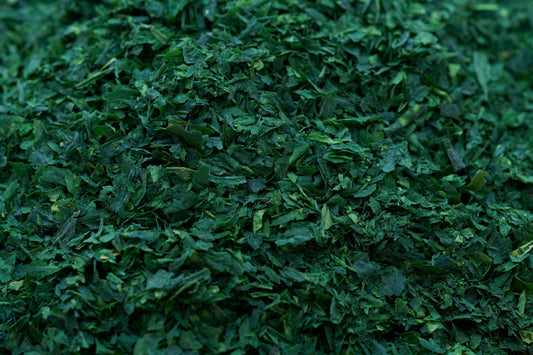 High-quality Tencha tea leaves, the raw material used for stone-grinding premium ceremonial matcha.
