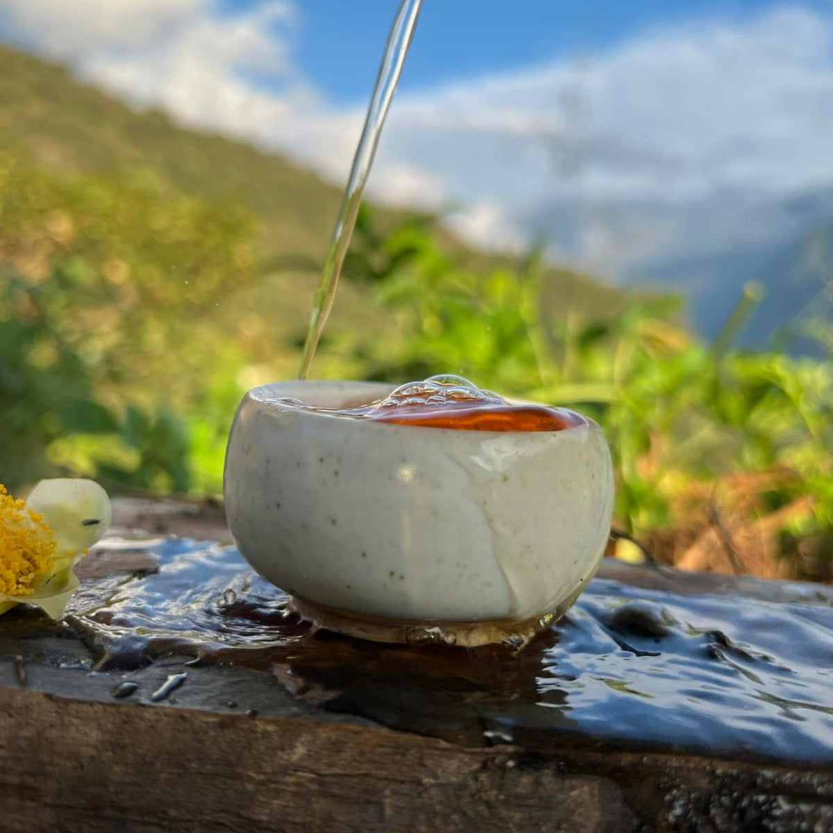 Pouring hot water into a ceramic tea cup overlooking a high-mountain tea farm for Tea Studio Lu Switzerland